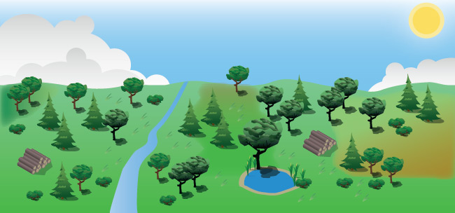 Bos, natuur en landschap